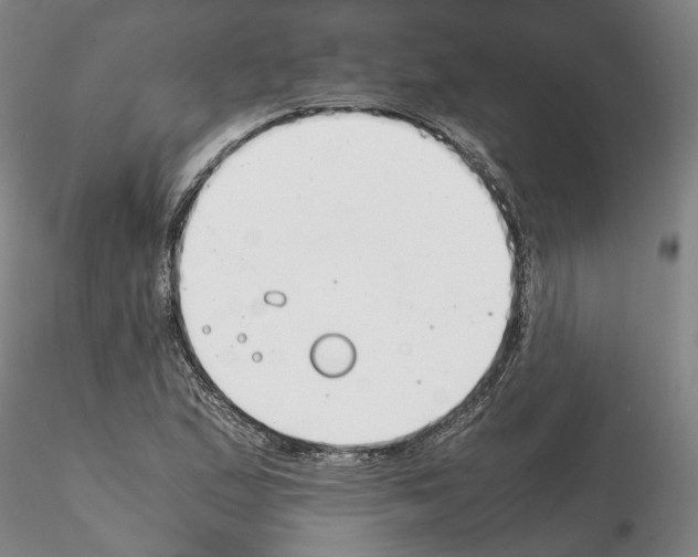 X0000115001167200912071133