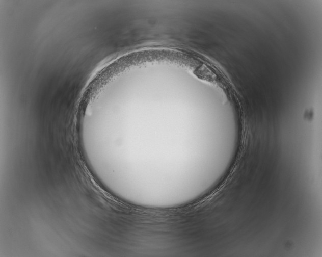 X0000115001168200912071133