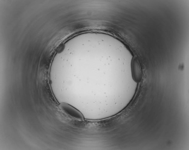 X0000115001169200912071133