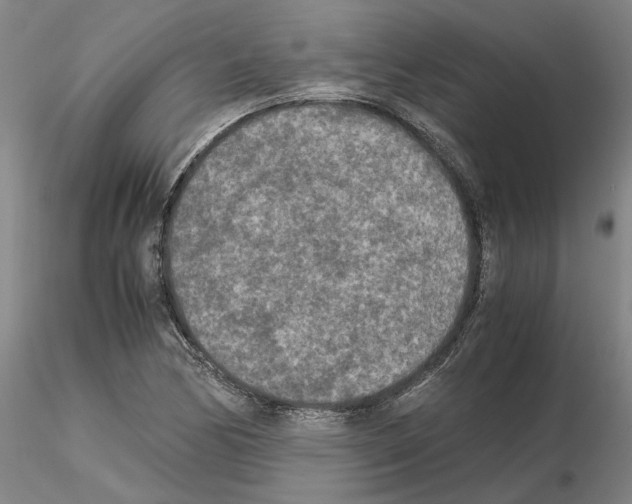 X0000115001170200912071132