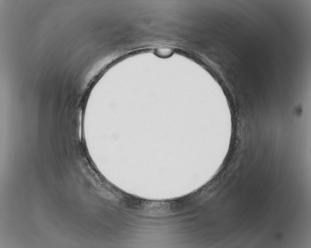 X0000115001171200912071132