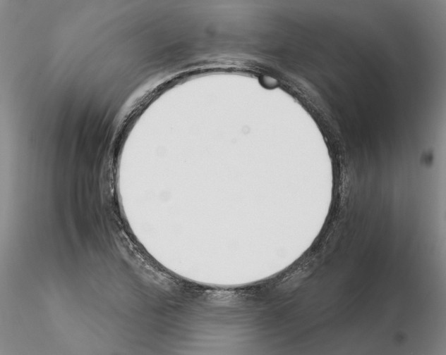 X0000115001172200912071132