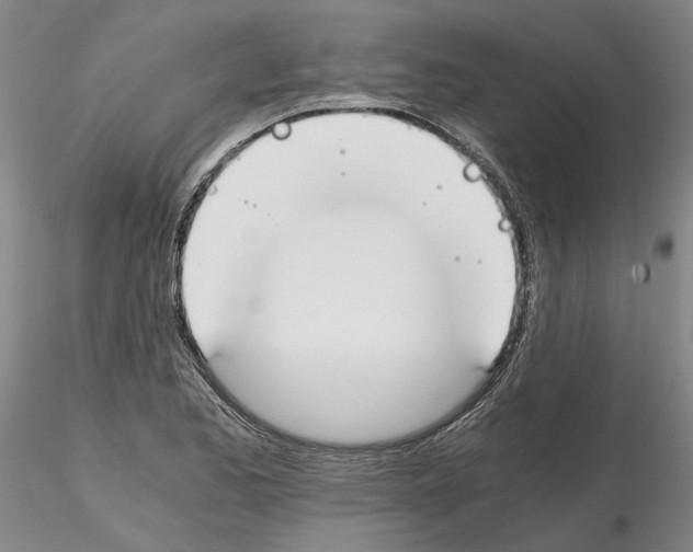 X0000115001173200912071132