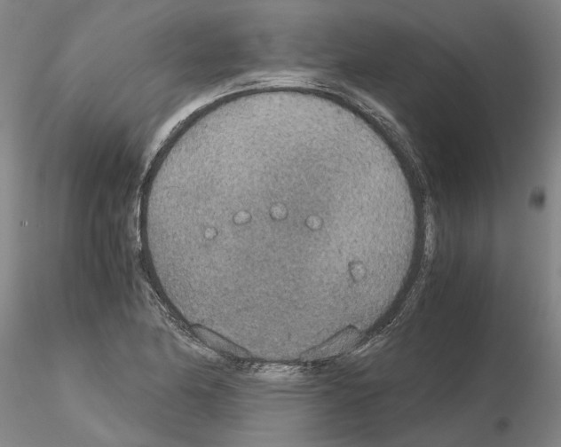 X0000115001174200912071132