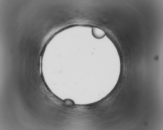 X0000115001175200912071132