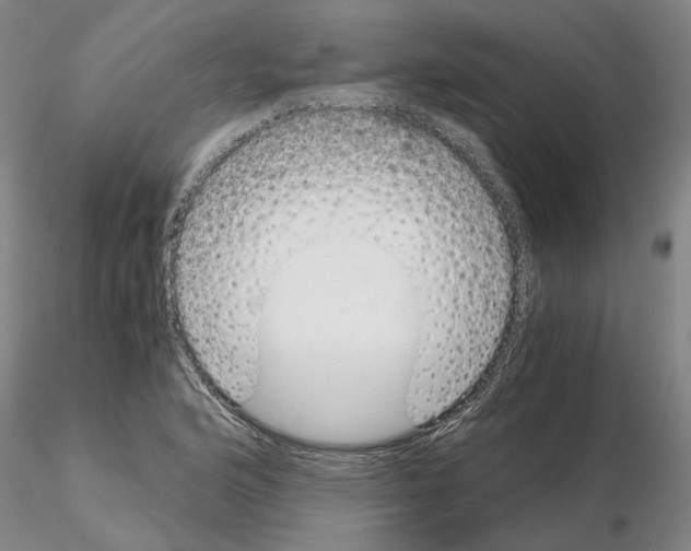 X0000115001176200912071132