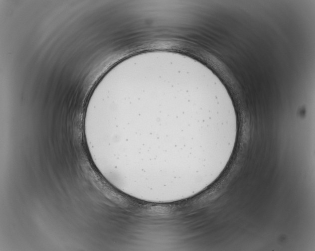 X0000115001178200912071132