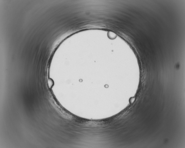 X0000115001179200912071132