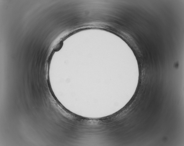 X0000115001180200912071132