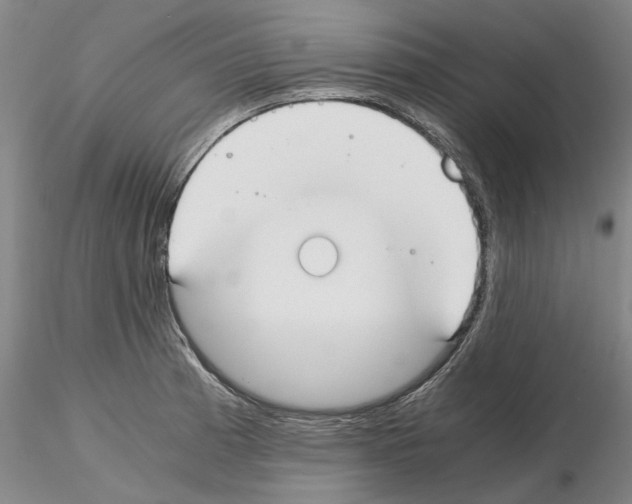 X0000115001185200912071132