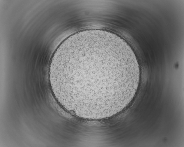 X0000115001186200912071132