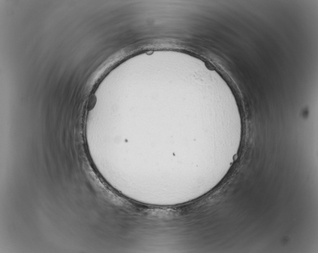 X0000115001189200912071132