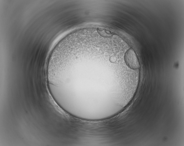 X0000115001192200912071132