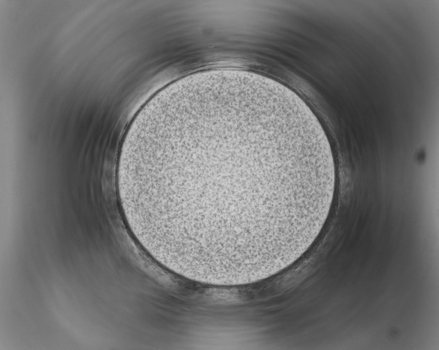 X0000115001194200912071132