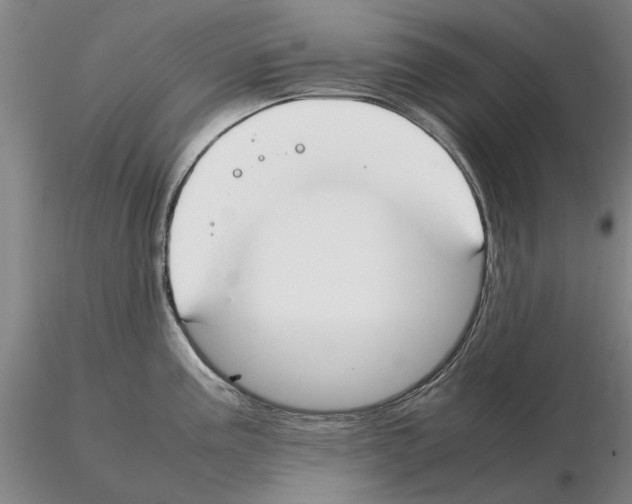 X0000115001195200912071132