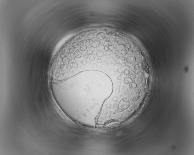 X0000115001196200912071132