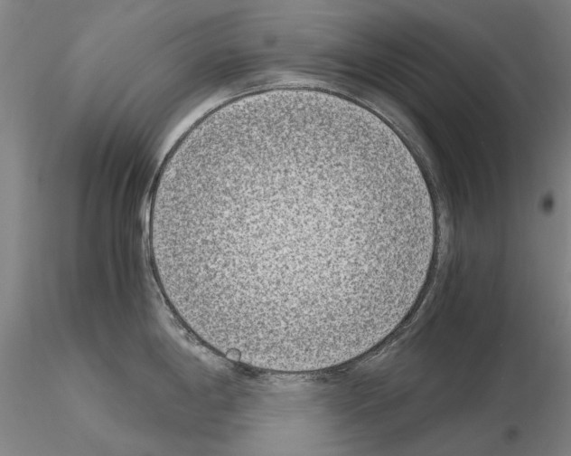 X0000115001198200912071132