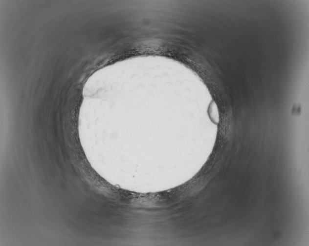 X0000115001201200912071131