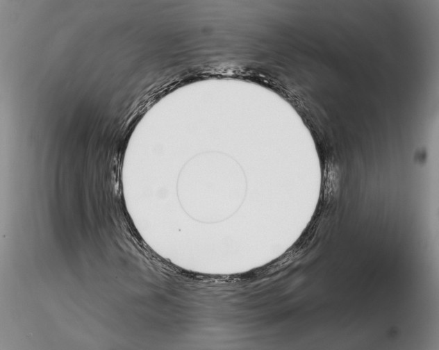 X0000115001202200912071131