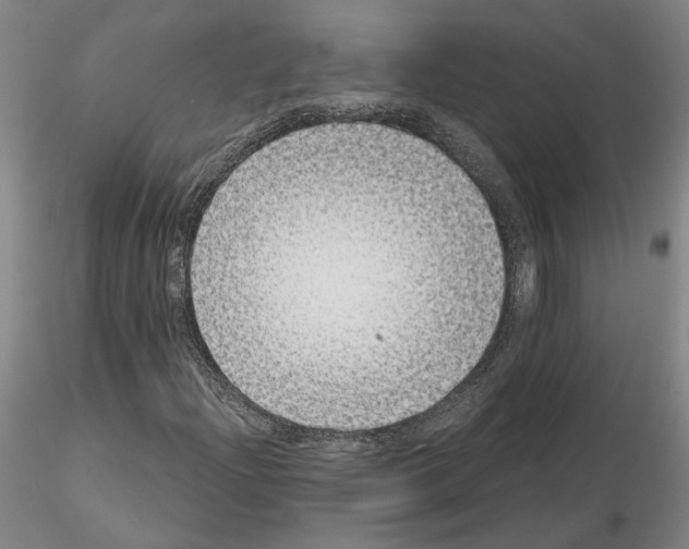 X0000115001204200912071131