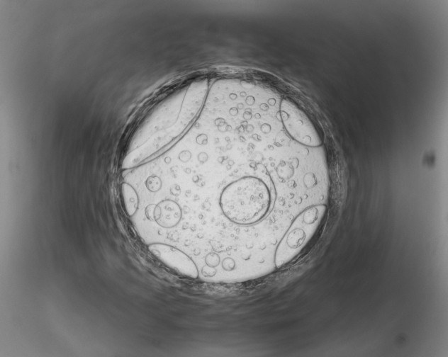 X0000115001205200912071131