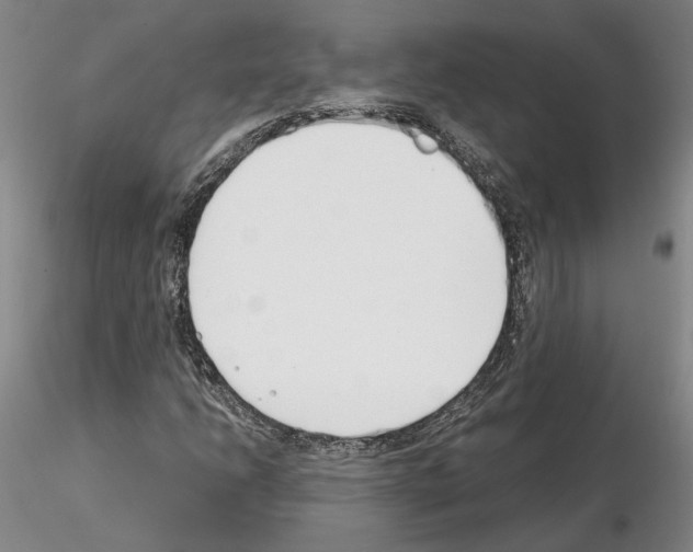 X0000115001206200912071131