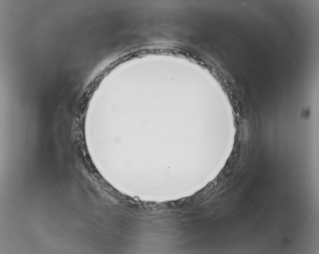 X0000115001208200912071132