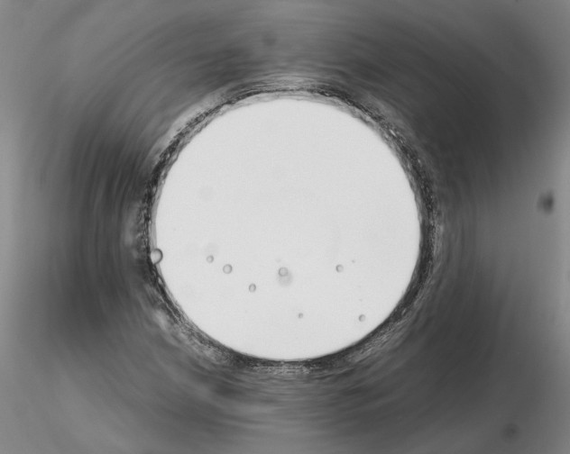 X0000115001210200912071132