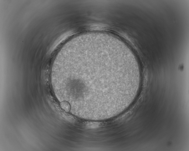 X0000115001211200912071132