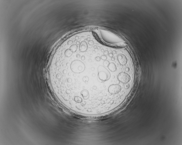 X0000115001212200912071132