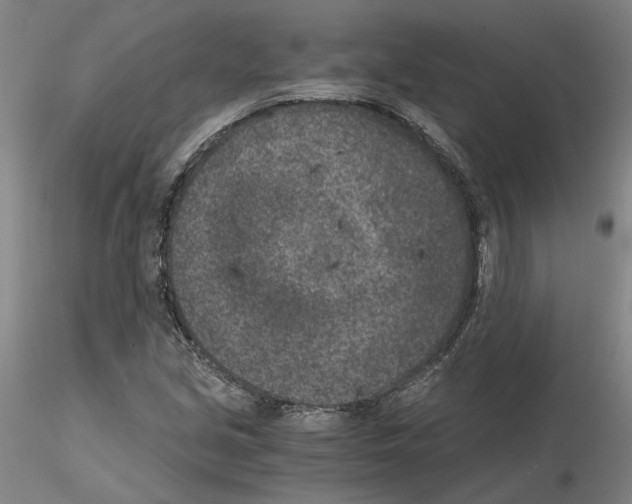 X0000115001213200912071132