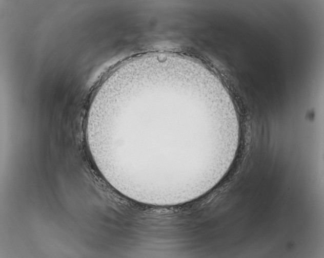 X0000115001214200912071132