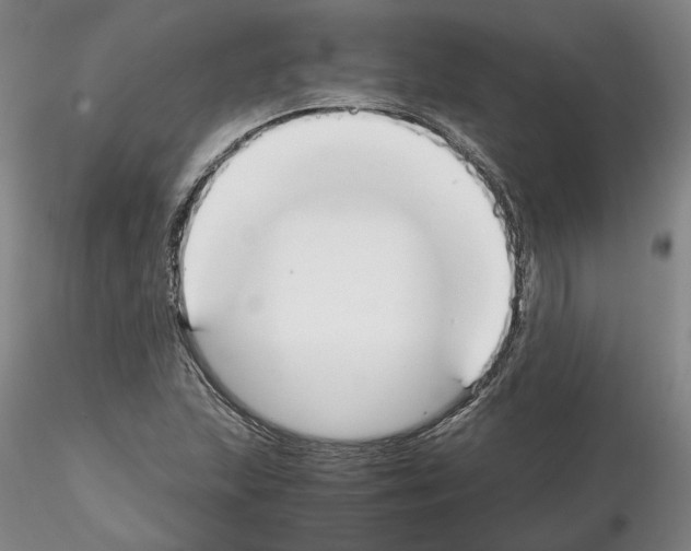 X0000115001215200912071132