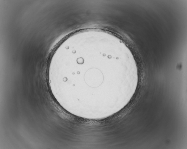 X0000115001216200912071132