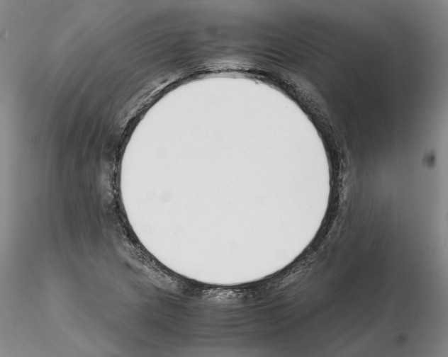 X0000115001217200912071132