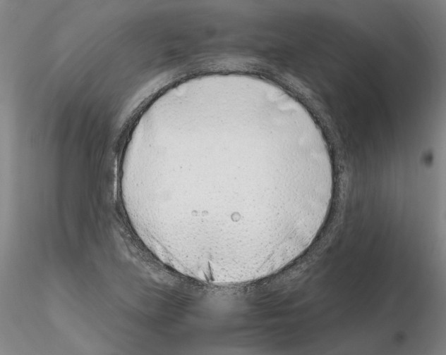 X0000115001219200912071132