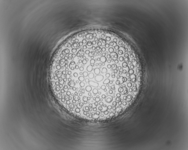 X0000115001220200912071132