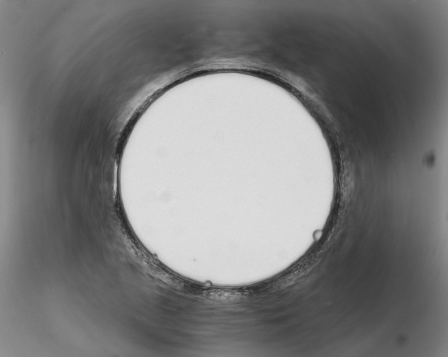 X0000115001221200912071132