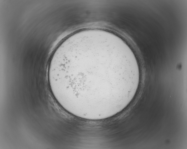 X0000115001224200912071132