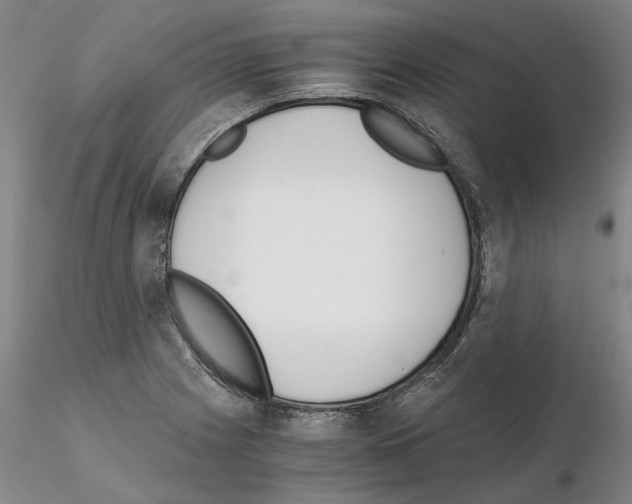 X0000115001225200912071132