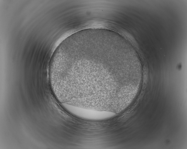 X0000115001226200912071132