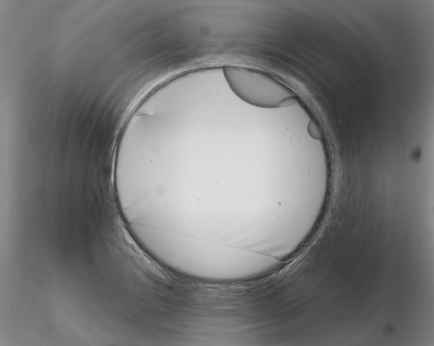 X0000115001228200912071132