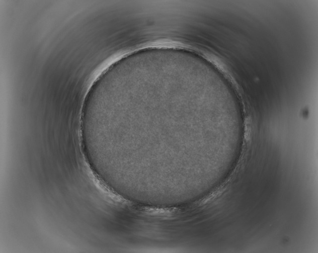 X0000115001229200912071132