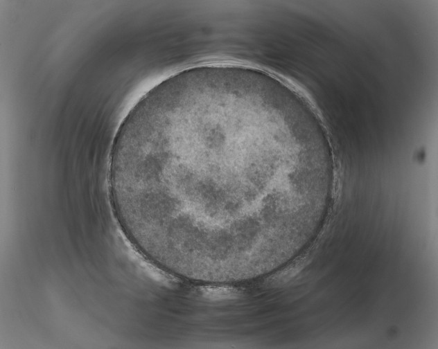 X0000115001231200912071132