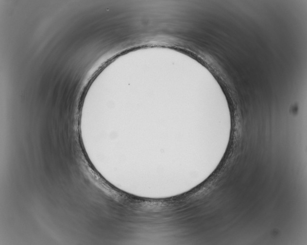 X0000115001232200912071132