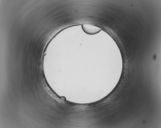 X0000115001236200912071132