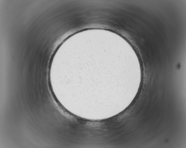 X0000115001237200912071132