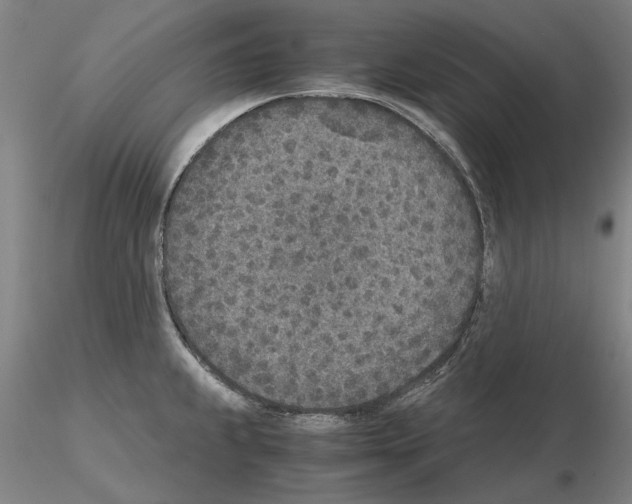 X0000115001239200912071132