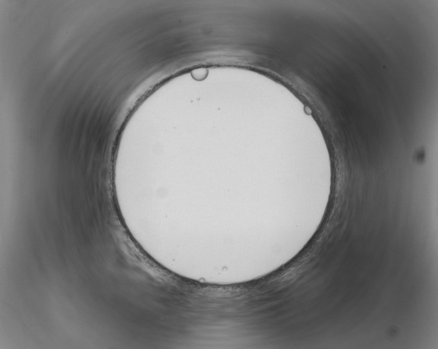 X0000115001240200912071132