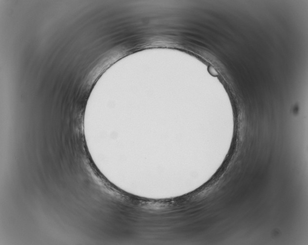 X0000115001241200912071132